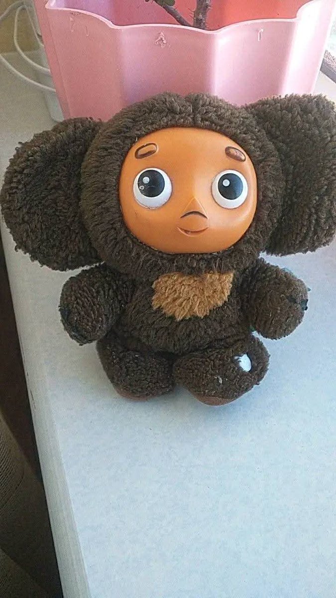 Энийг лабубу гэж зарсан гарыг алахынс