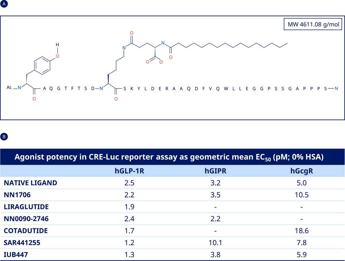 Molecular Metabolism (@molmetab) on Twitter photo A once‑daily GLP‑1/GIP/glucagon receptor #triagonist, NN1706, causes significant dose‑dependent #weightloss in obese rodents, non‑human primates, and humans while maintaining glycemic control.
👩🔬🧑🔬<a href="/novonordiskus/">Novo Nordisk US</a> <a href="/IndianaUniv/">Indiana University</a>
🔗sciencedirect.com/science/articl… A once‑daily GLP‑1/GIP/glucagon receptor #triagonist, NN1706, causes significant dose‑dependent #weightloss in obese rodents, non‑human primates, and humans while maintaining glycemic control.
👩🔬🧑🔬<a href="/novonordiskus/">Novo Nordisk US</a> <a href="/IndianaUniv/">Indiana University</a>
🔗sciencedirect.com/science/articl…