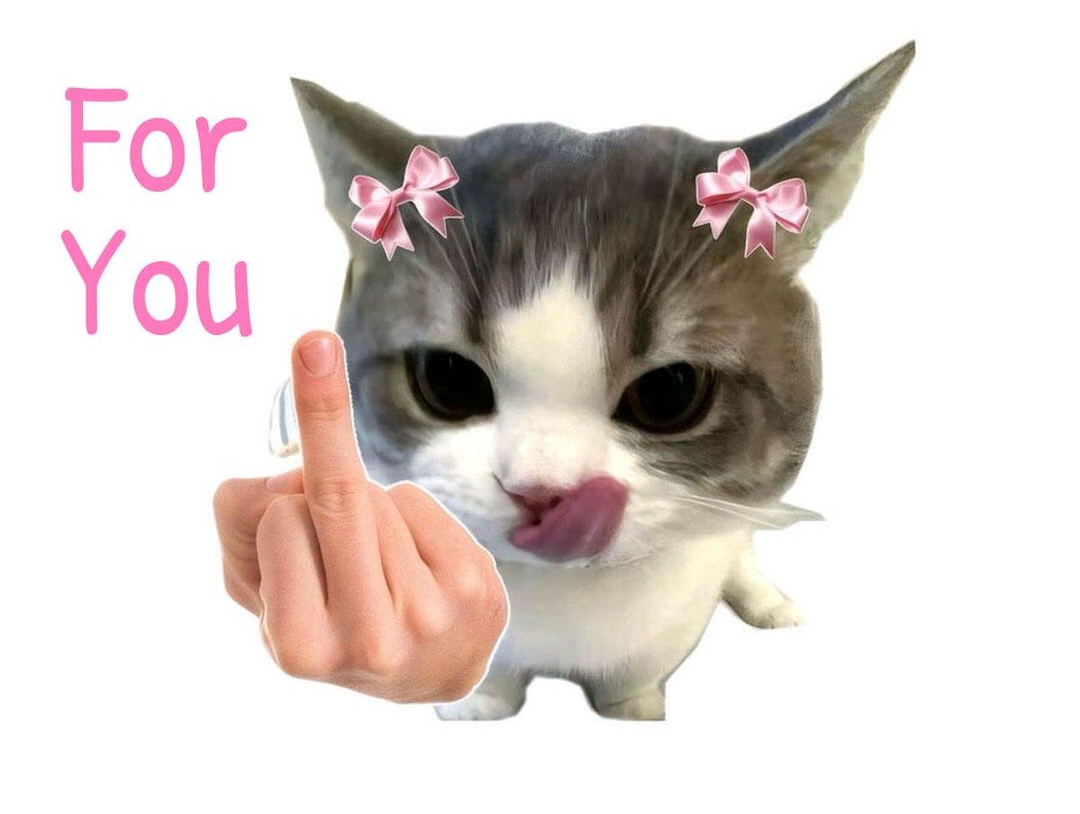 Miaw (@miaw) on Twitter photo 