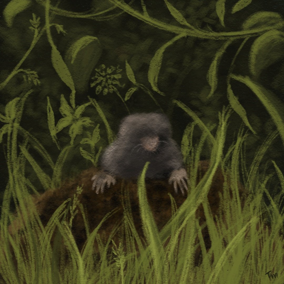muthu_tara's tweet photo. Asterisk 2025
Day 17: Mountain
Out of a mole hill.
#sketchesbytara #digitalart #artprompts #asterisk #asterisk2025 #sketchbook #mountain #molehill https://t.co/VDevtFXFWL