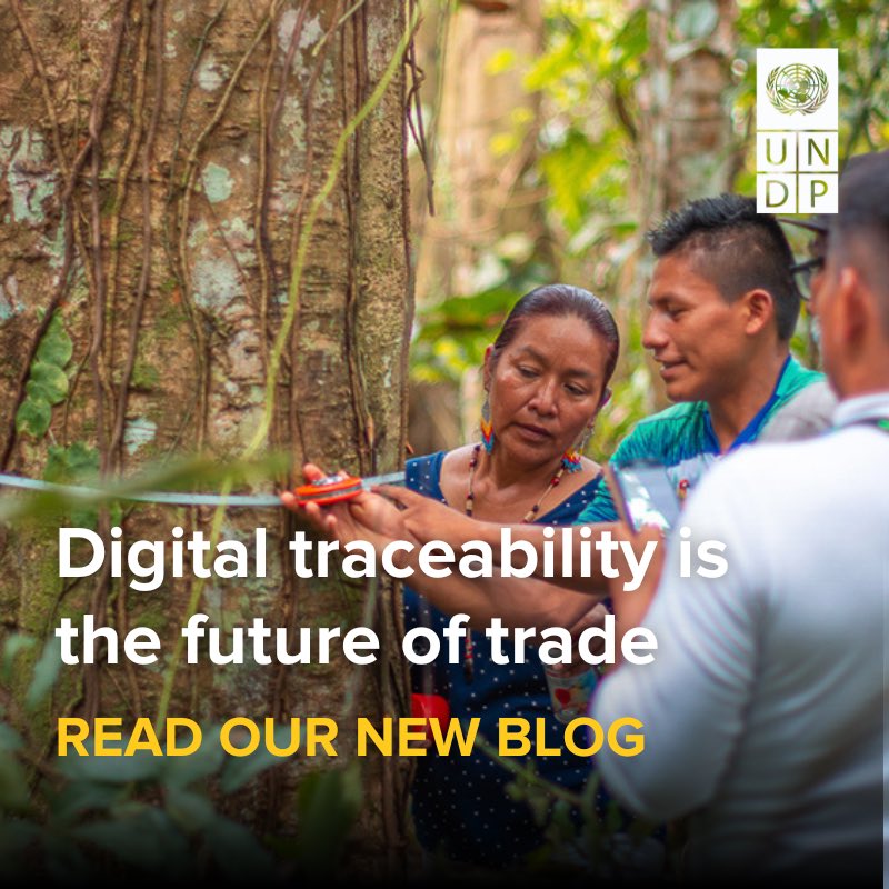UNDP Climate (@undpclimate) on Twitter photo New trade rules demand proof of sustainability, but smallholders often lack the digital tools to comply.
Our joint blog with <a href="/UNDPDigital/">UNDP Digital</a> looks at how open-source systems can level the playing field: go.undp.org/Ubn New trade rules demand proof of sustainability, but smallholders often lack the digital tools to comply.
Our joint blog with <a href="/UNDPDigital/">UNDP Digital</a> looks at how open-source systems can level the playing field: go.undp.org/Ubn