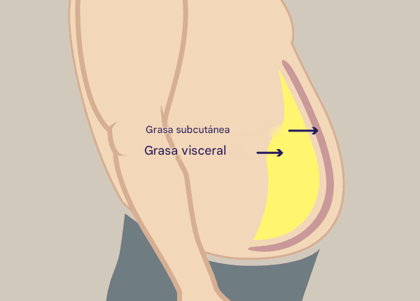 Si no puedes perder la grasa abdominal persistente, esta es la razón (guarda este hilo):