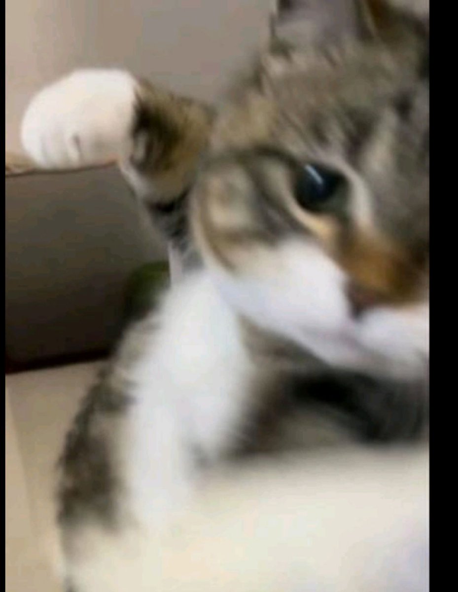 cancer season approaching