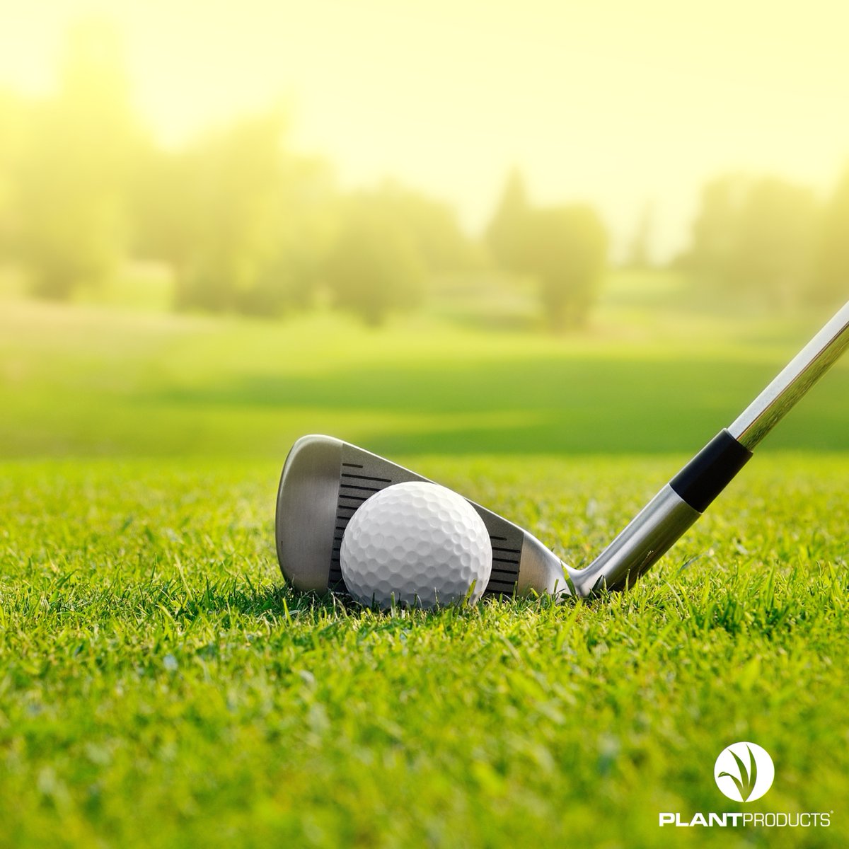 #QuebecsNationalHoliday and #CanadaDay are just around the corner. Ensure your course is in top shape for visitors enjoying their break. Count on #Intrinsic from @BasfTurfCanada to help you through the long weekend. Connect with @turfplantprod to learn more!