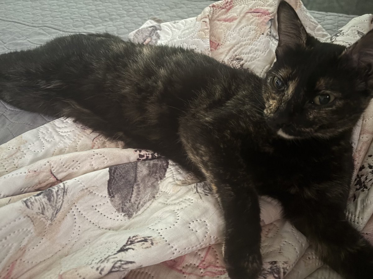 rufina is officially awake