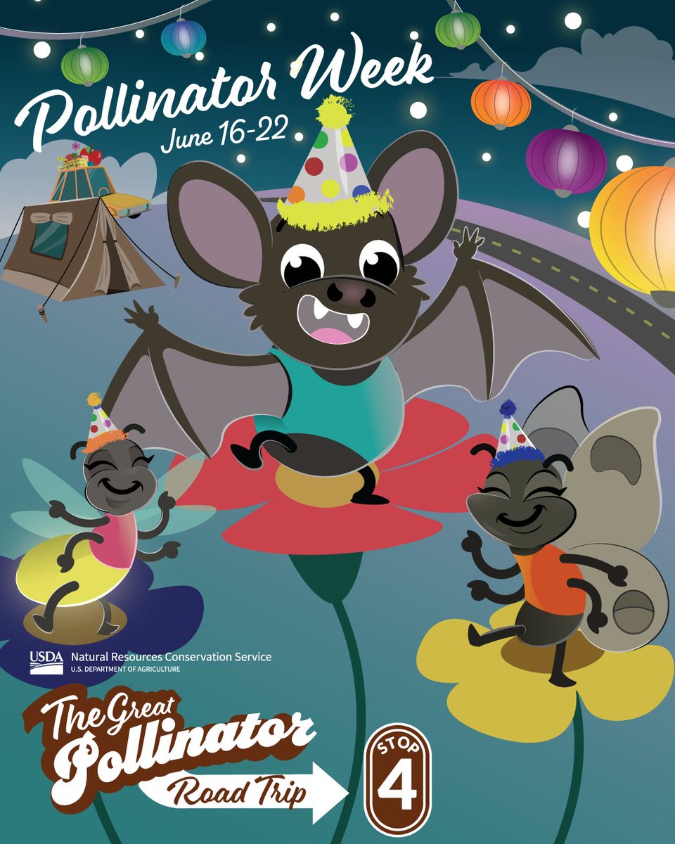 Last stop on our journey is the twilight turnoff! The sun may be down, but the pollination party is just getting started. Today, we’re celebrating the unsung heroes of the night shift: moths, bats, and more! #PollinatorWeek