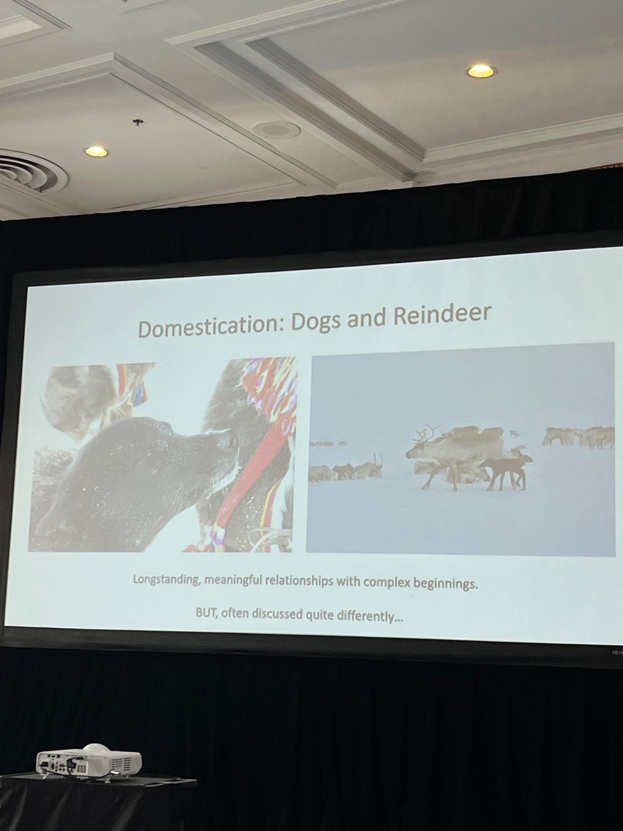 BARK UBC (@barkubc) on Twitter photo #ISAZ2025: We’ve just heard a fascinating Keynote speech from Dr. Robert Losey about the domestication of dogs and reindeer! Thank you Dr. Losey.
<a href="/ISAZOfficial/">International Society for Anthrozoology (ISAZ)</a> #ISAZ2025: We’ve just heard a fascinating Keynote speech from Dr. Robert Losey about the domestication of dogs and reindeer! Thank you Dr. Losey.
<a href="/ISAZOfficial/">International Society for Anthrozoology (ISAZ)</a>
