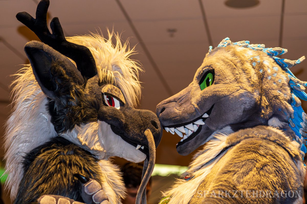 Attor (@attordragon) on Twitter photo That moment when you lock eyes and just can look away~
#FursuitFriday #FursuitsFriday
Photographer- <a href="/ArztySparkz/">SparkzTehDragon</a> That moment when you lock eyes and just can look away~
#FursuitFriday #FursuitsFriday
Photographer- <a href="/ArztySparkz/">SparkzTehDragon</a>