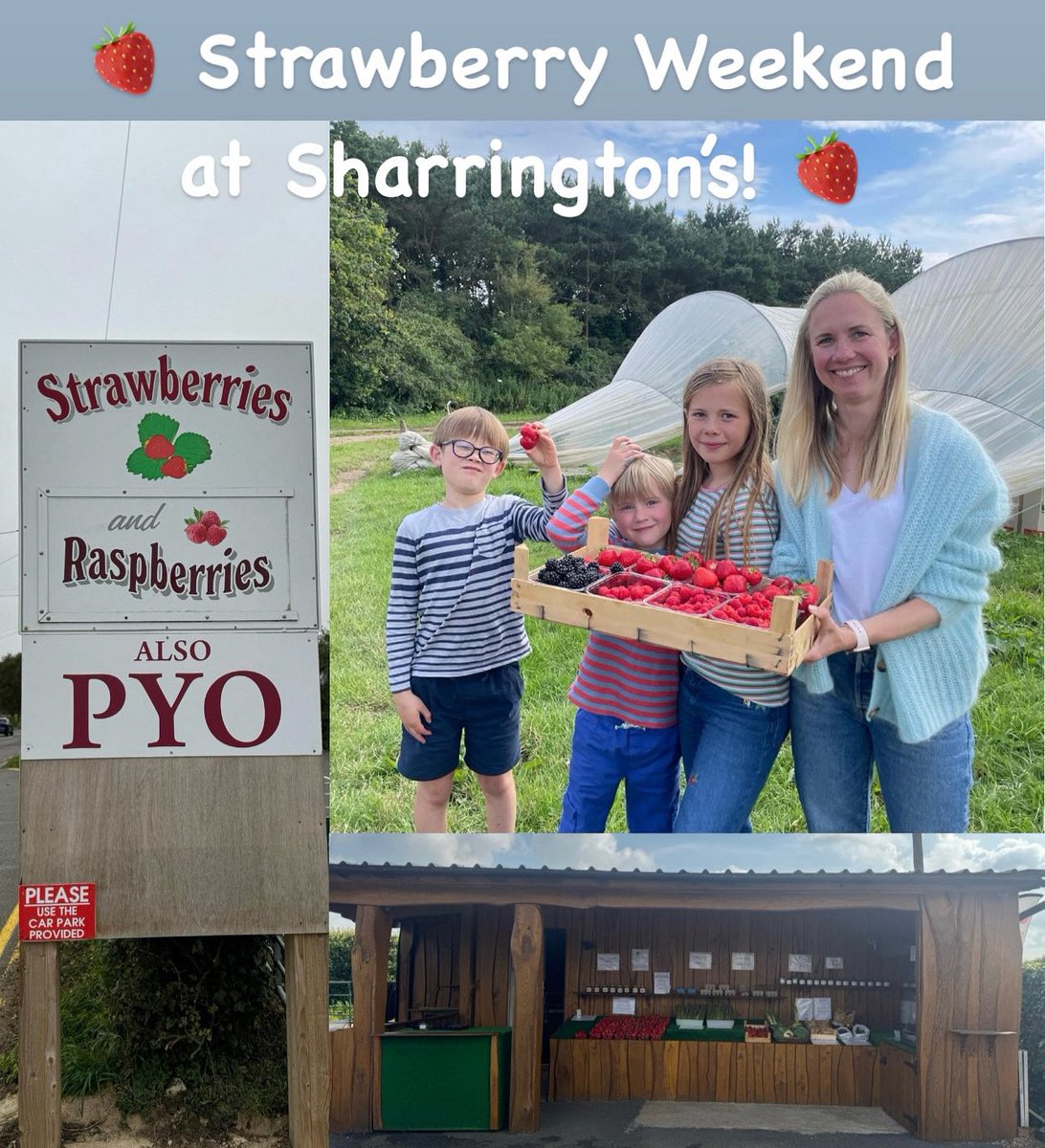 Sharrington Strawberries tweet media