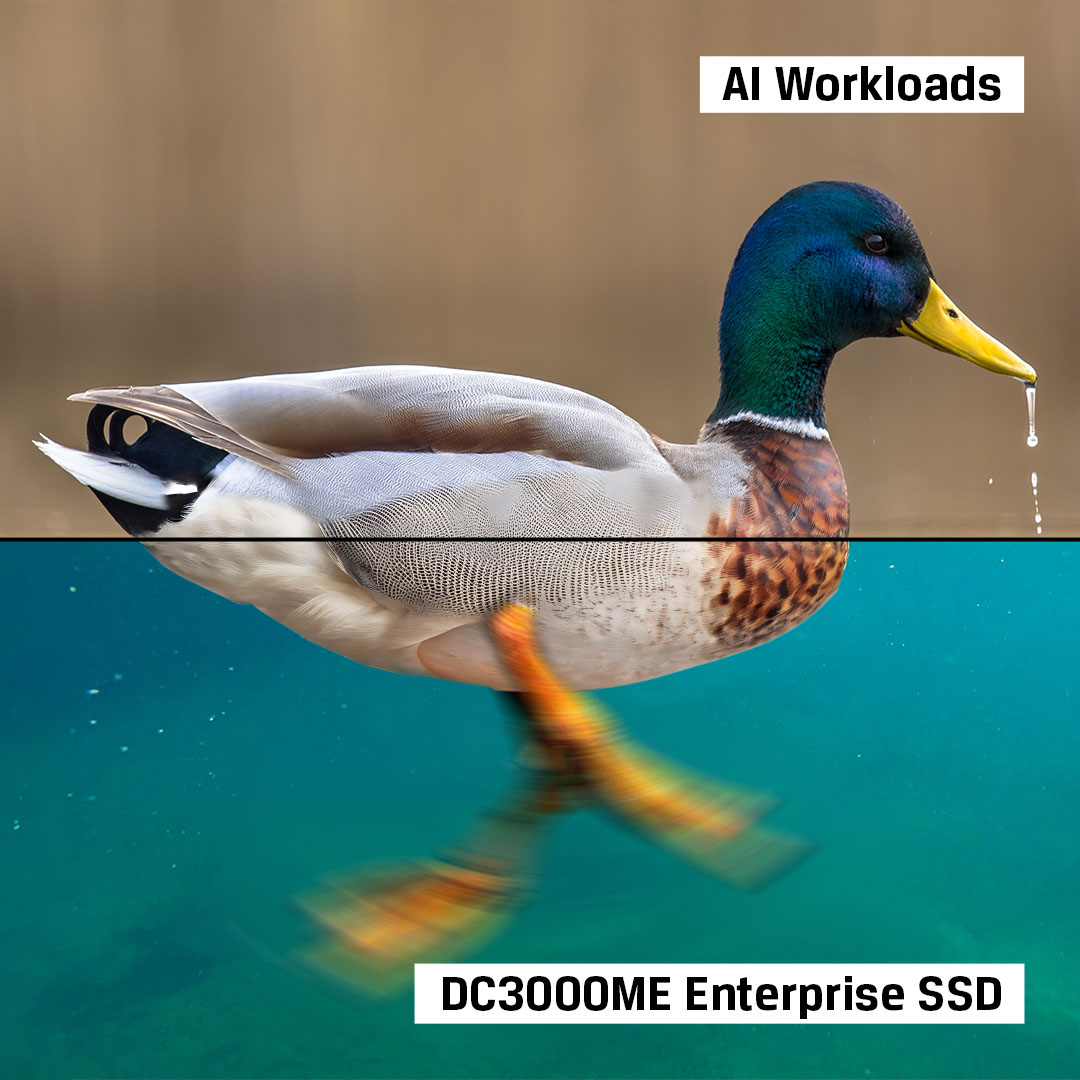 Beneath the surface of an AI workload, you need an SSD that’s fast, reliable, and resilient.