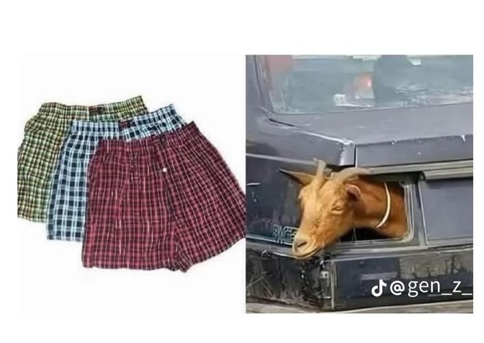 Only men will understand.. 😂🙌