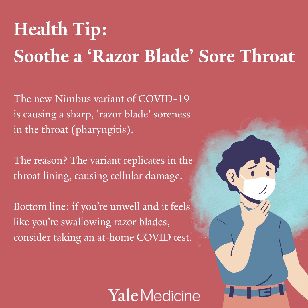 YaleMedicine's tweet image. Health tip: Soothe a ‘Razor Blade’ Sore Throat
 
The new #Nimbus variant of #COVID-19 is causing a sharp, &apos;razor blade&apos; type of soreness in the throat (pharyngitis). The reason? The variant replicates in the throat lining, causing cellular damage. Try these soothing solutions.