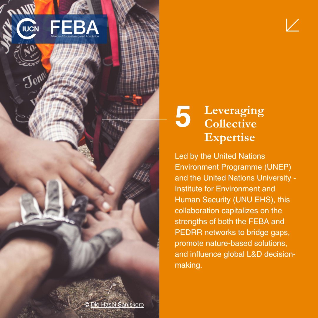 As Loss &amp; Damage negotiations in Bonn call for action on finance, inclusion &amp; non-economic losses, a new <a href="/FriendsofEbA/">Friends of EbA (FEBA)</a> &amp; <a href="/PEDRRnetwork/">PEDRR</a> working group steps in, exploring how #NbS &amp; #EbA address climate-related losses: shorturl.at/W6gh9

#ClimateAction #UNFCCC #COP30 #SB62