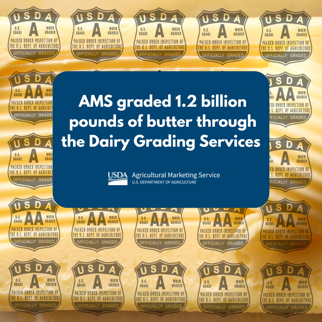 USDA Ag Mktg Service (@usda_ams) on Twitter photo Last year, AMS graded 1.2 billion pounds of butter through the Dairy Grading Services, ensuring quality and compliance. To learn more or request grading service, contact the Dairy Grading branch at DairyNFO@usda.gov Last year, AMS graded 1.2 billion pounds of butter through the Dairy Grading Services, ensuring quality and compliance. To learn more or request grading service, contact the Dairy Grading branch at DairyNFO@usda.gov