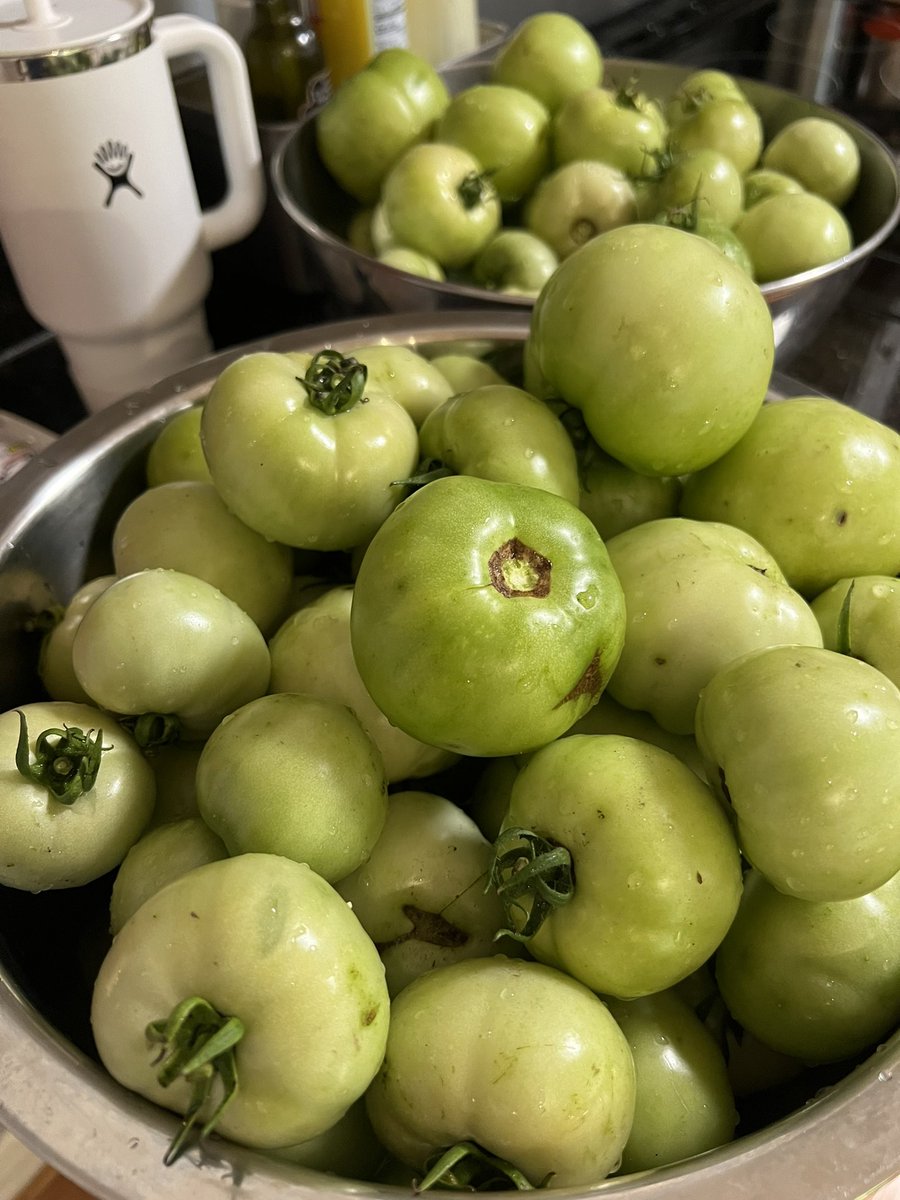 15 pounds of green tomatoes makes a lot of salsa and pickled green maters.  Who wants that hookup no low ballers I know what I got…lol