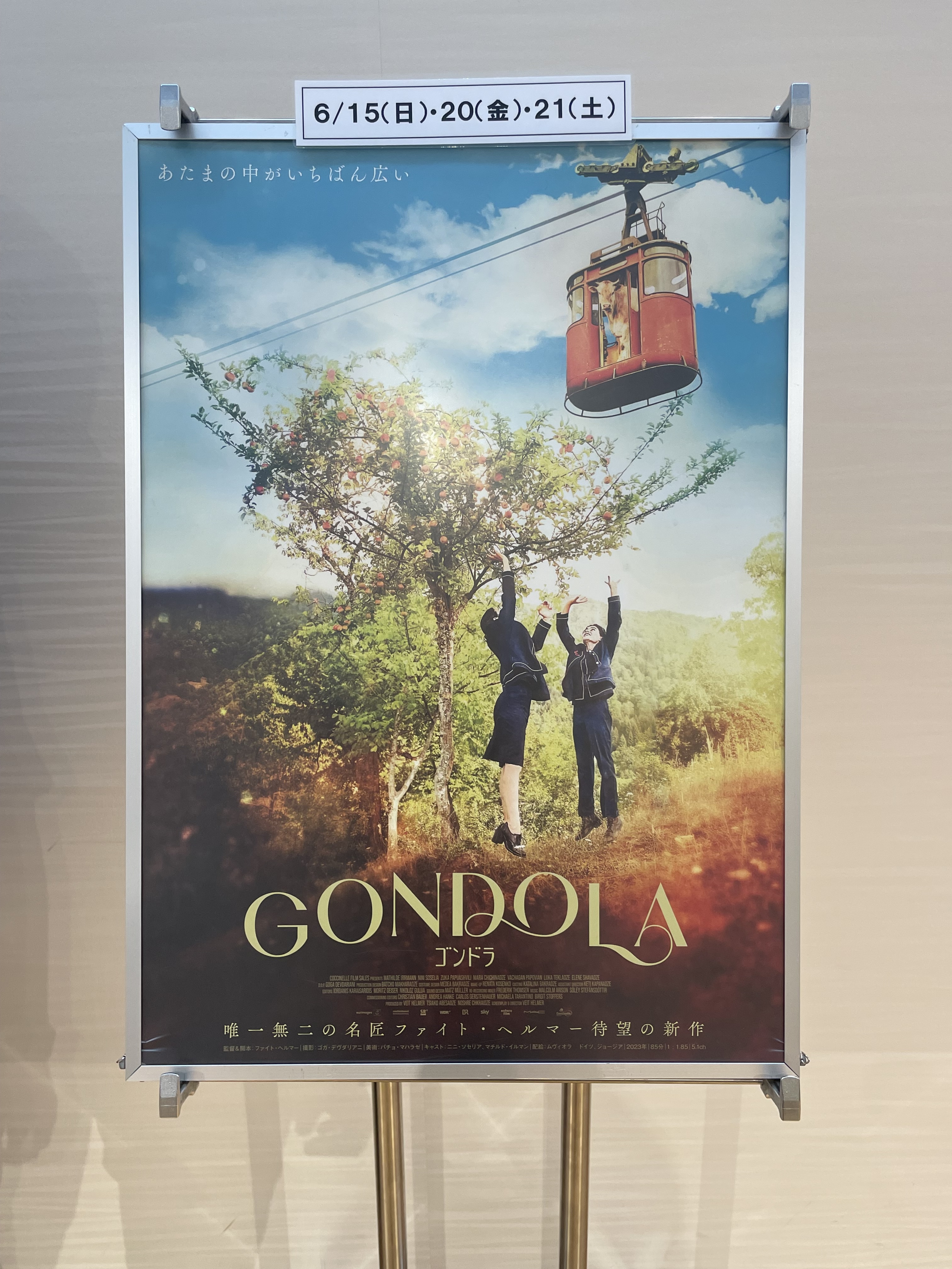 シャオ・ジャン、映画の公開日が！！ (*^-^*) | nandemo_ari～na☆彡