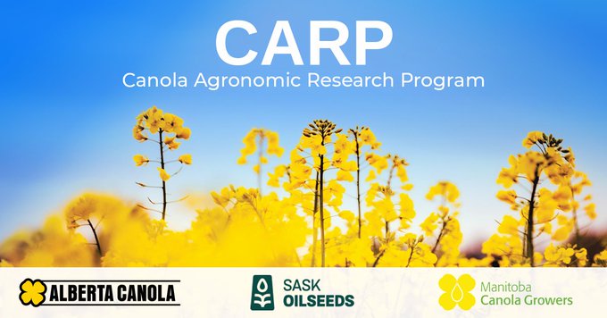 REMINDER for #Researchers: LOIs for the 2026 Canola Agronomic Research Program (CARP) are due on Friday, June 27. 
The deadline is only one week away!
View the LOI template and CARP research  priorities at canolacouncil.org/research/carp/
