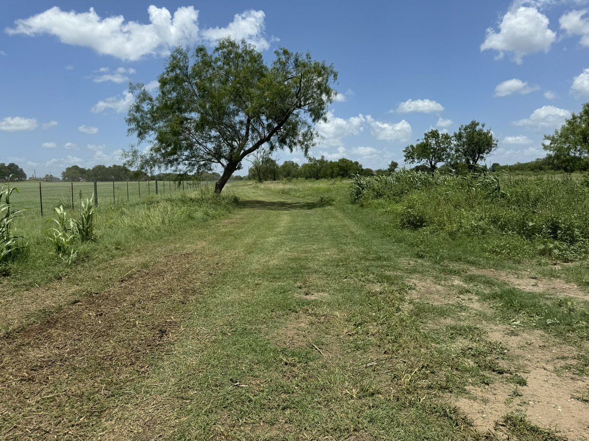 LYTLE XC tweet media