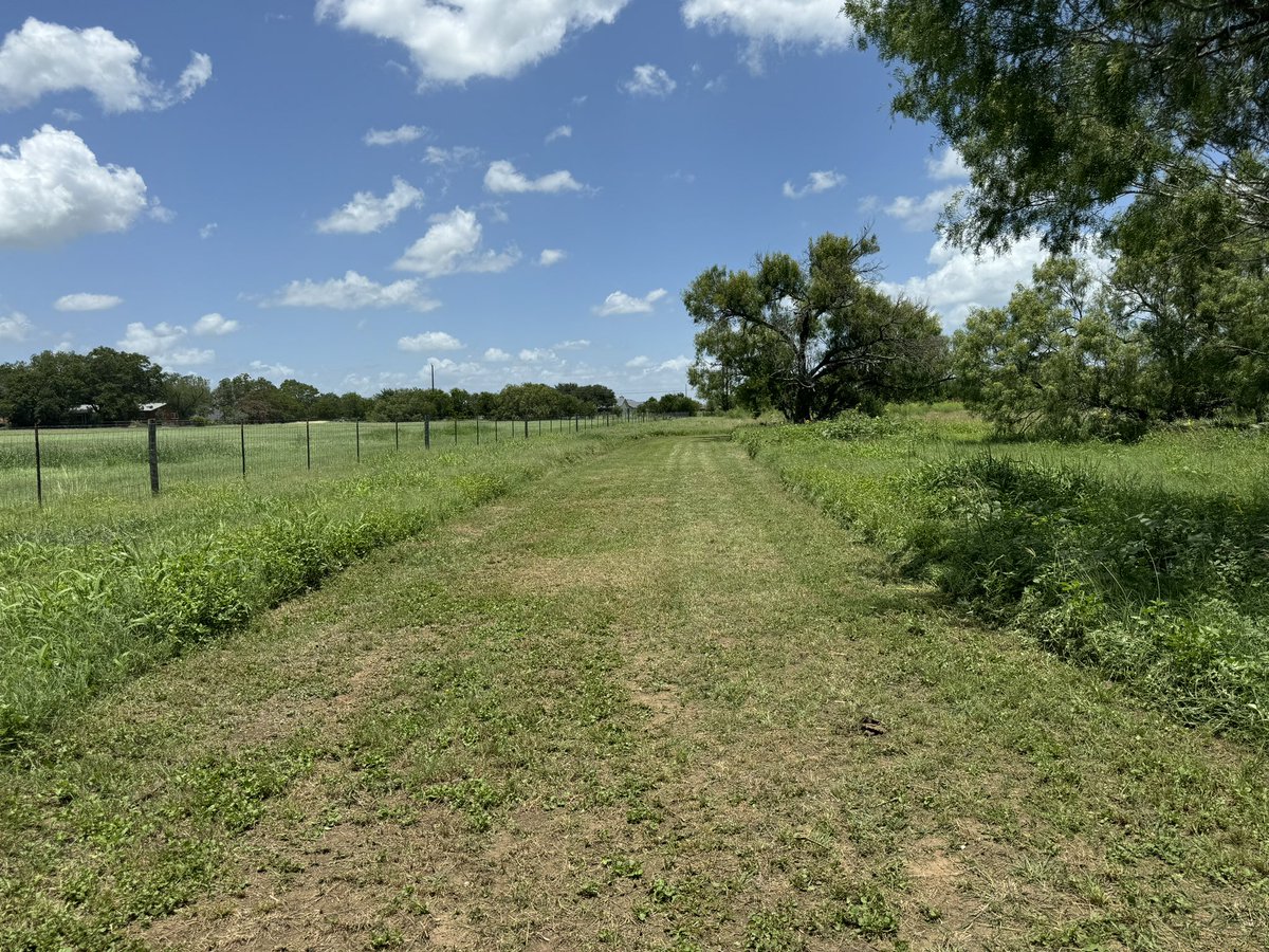 Appreciate our maintenance allowing me to use a mower to keep our course nicely cut for our kids. It’s about the little things. Building champions. 
<a href="/LoriLwilson23/">Lori Wilson🖤☠️💛</a> <a href="/LytleAthletics/">Lytle Athletics</a> <a href="/LytleFootball/">Lytle Football</a> <a href="/_CoachTrevino/">Mike Trevino</a> <a href="/lytleisd/">Lytle ISD</a> <a href="/LytleTrack/">Lytle Track & Field</a> <a href="/LytleVolleyball/">Lytle Volleyball</a> <a href="/CoachBenavides7/">Sebastian Benavides</a> <a href="/mayorgonzltx/">Ruben Gonzalez</a>