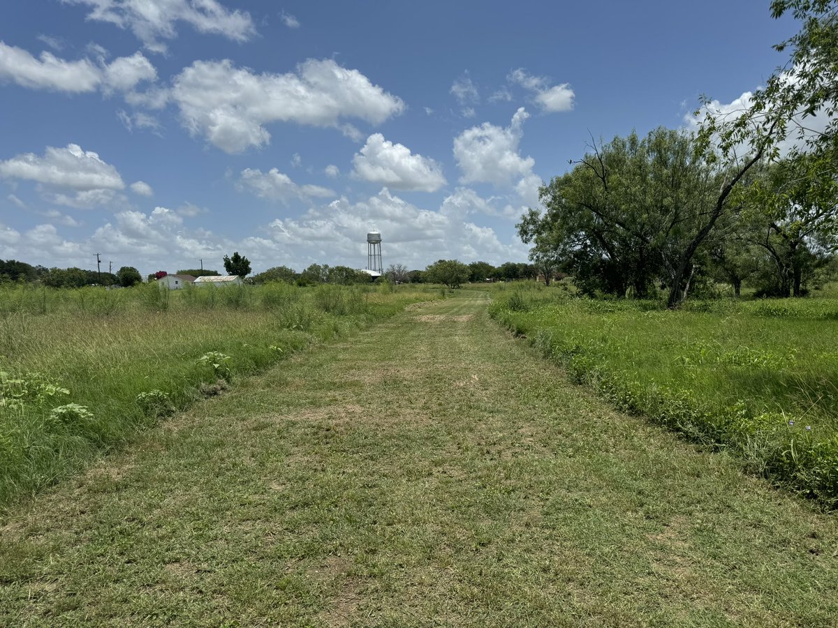 LYTLE XC tweet media