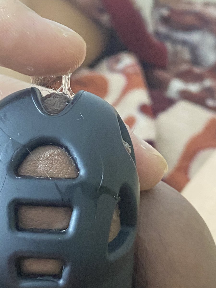 新之助 tweet media