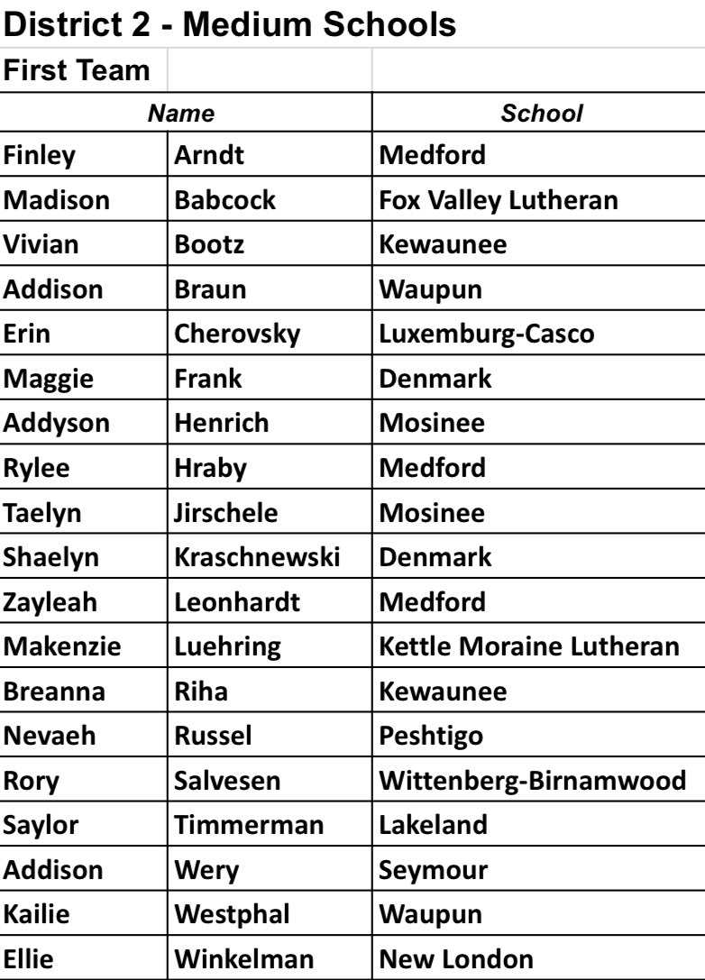 I am honored to be named First Team All-State and First Team All-Division alongside these other amazing athletes! Thank you <a href="/WFSCA1/">Wisconsin Fastpitch Softball Coaches Association</a>!