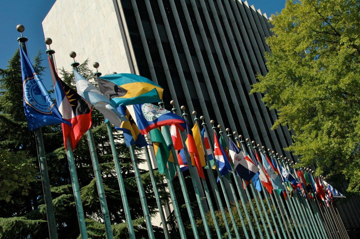 PAHO/WHO (@pahowho) on Twitter photo 🛎️ Next week, PAHO's 176th Session of the Executive Committee starts on Monday. We invite you to visit our website for documents and more information: paho.org/en/governance/…
💻 There will also be a live broadcast available on: youtu.be/mWLKvaKjAX0 🛎️ Next week, PAHO's 176th Session of the Executive Committee starts on Monday. We invite you to visit our website for documents and more information: paho.org/en/governance/…
💻 There will also be a live broadcast available on: youtu.be/mWLKvaKjAX0