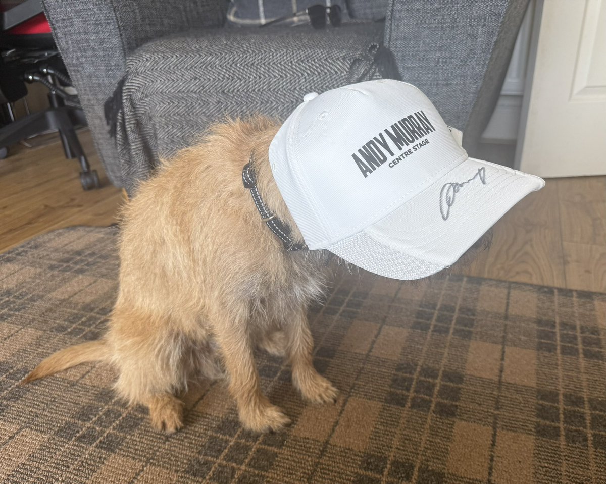 Fin (@macbark) on Twitter photo Mum went to see a very famous πΎ player last night. Was a very entertaining evening hosted by the also fantastic <a href="/MrAndrewCotter/">Andrew Cotter</a> (m was cheering you too π) not impressed with the signed hat. Why didnβt she get me a πΎ <a href="/andy_murray/">Andy Murray</a> <a href="/JudyMurray/">judy murray</a> or maybe an Olympic medal π₯ Mum went to see a very famous πΎ player last night. Was a very entertaining evening hosted by the also fantastic <a href="/MrAndrewCotter/">Andrew Cotter</a> (m was cheering you too π) not impressed with the signed hat. Why didnβt she get me a πΎ <a href="/andy_murray/">Andy Murray</a> <a href="/JudyMurray/">judy murray</a> or maybe an Olympic medal π₯