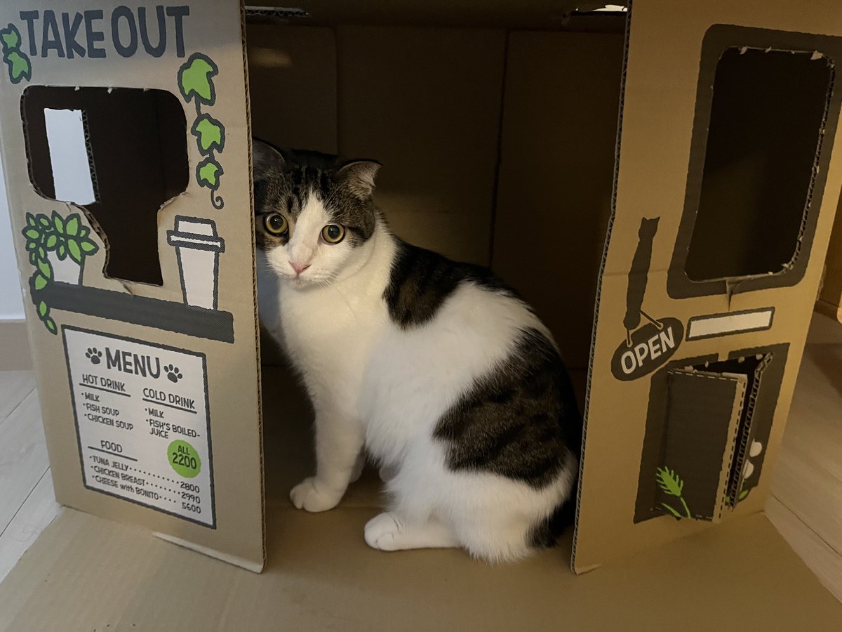 카페사장님 다람