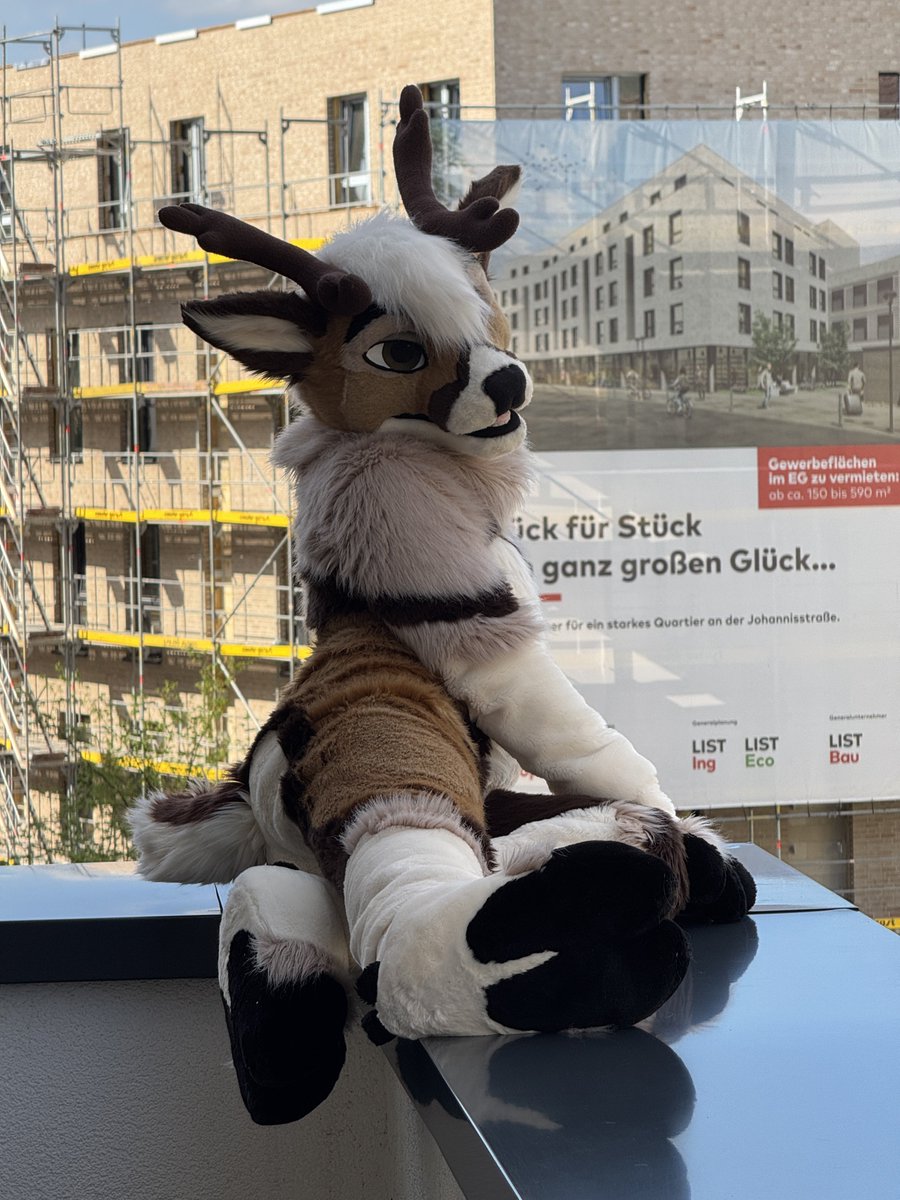 Don’t mind me I’m just doing my morning stretches 
#FursuitFriday 
📸<a href="/Blauwyld/">Wax Blauwyld</a>