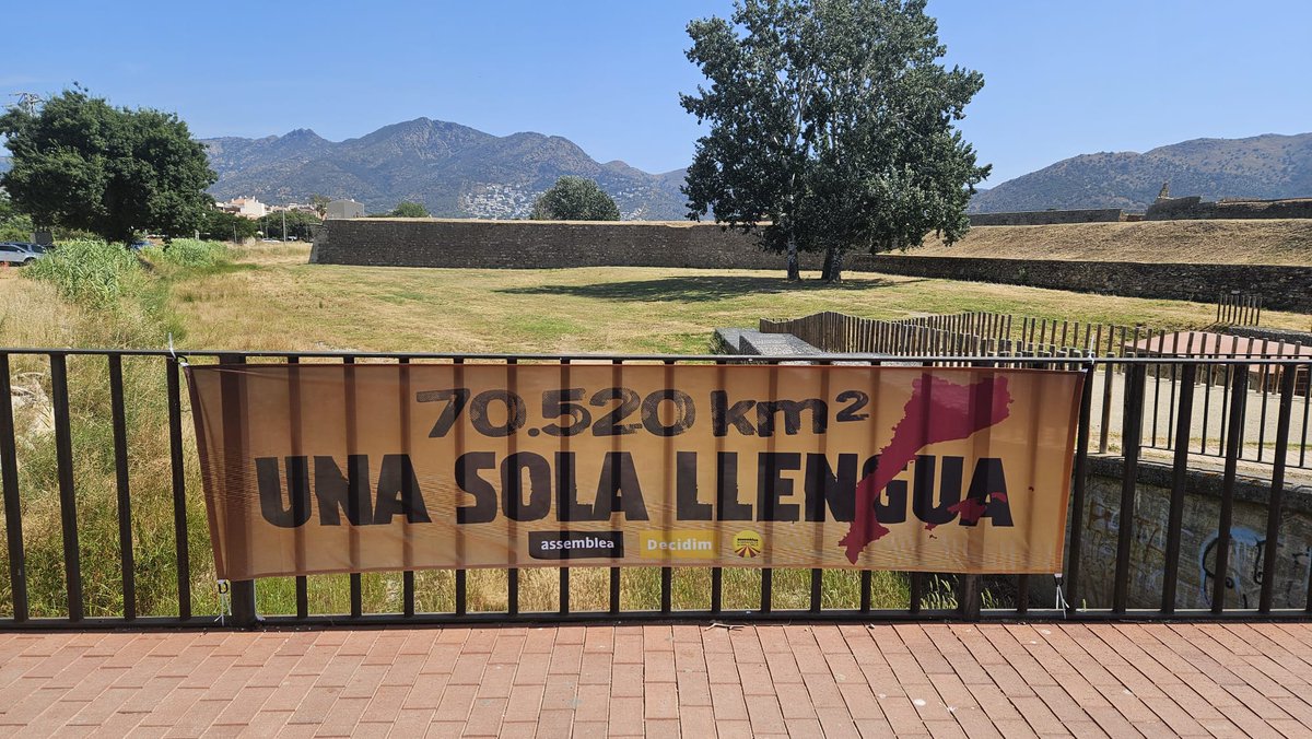 ANC Roses tweet media