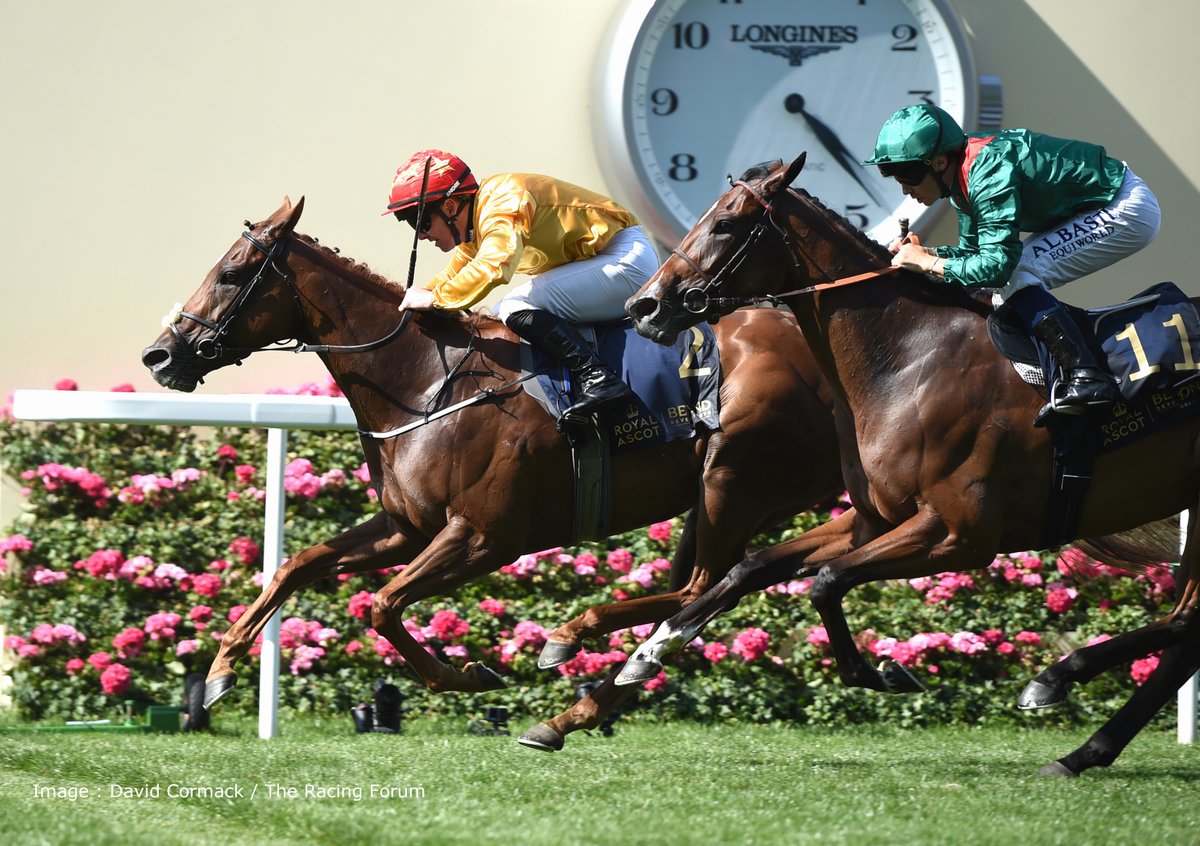 ITBA_Official's tweet image. ๐ฉAnother strong day for ๐ฐ๐๐๐๐ ๐๐๐๐
๐๐๐๐๐๐ at Royal @AscotRacecourse
โ๏ธVenetian Sun bred by @HoStud
โ๏ธTime For Sandals bred by @BallyhaneStud
โ๏ธEthical Diamond bred by William Kennedy
โ๏ธCercene bred by @Chinahorseclub International
#irishbred #RoyalAscot