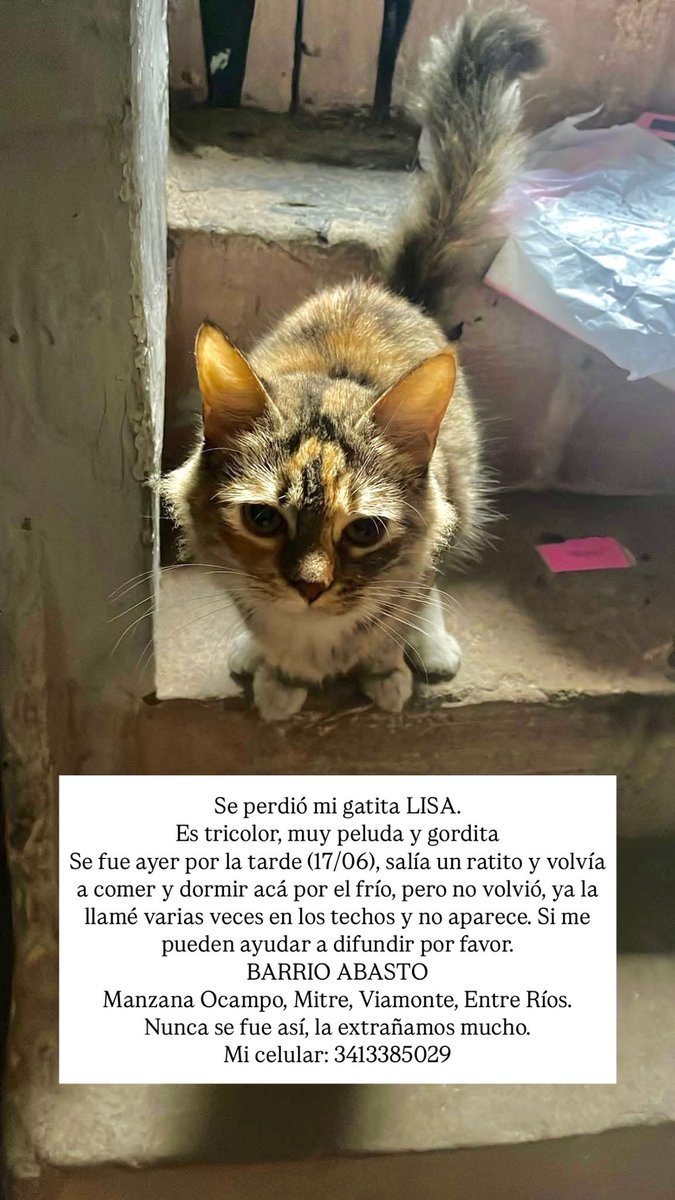 Ya van 3 días. Ayúdenme a difundir por favor, que llegue a todo Rosario. Tiene que estar en alguna parte 🙏😔 Ya pegué carteles por todos los lugares del barrio. Tiré folletos en todas las casas

<a href="/propatasrosario/">ProPatas Rosario</a> <a href="/VivirenRosario/">Vivir En Rosario</a> <a href="/emergenciasAR/">red de emergencias</a> <a href="/CalleDeRosario/">CalleDRosario</a> <a href="/nicolasmaggi87/">Nicolás Maggi</a>