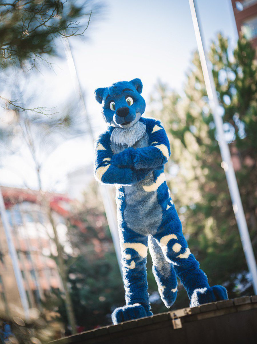 respect my authoritah!

#FursuitFriday 
📸 <a href="/SyndraFox/">Syndra</a>