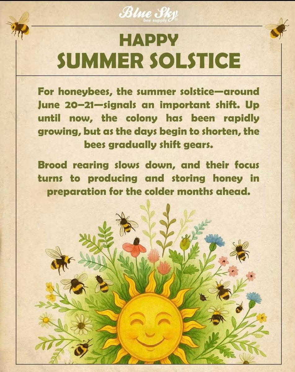 Beekeeping in Maine 🐝 🍯 🐝 (@njhamlin) on Twitter photo 