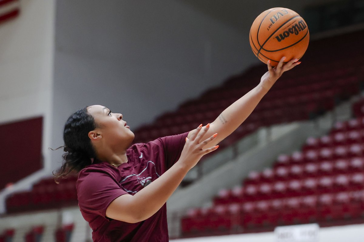 Montana Lady Griz tweet media