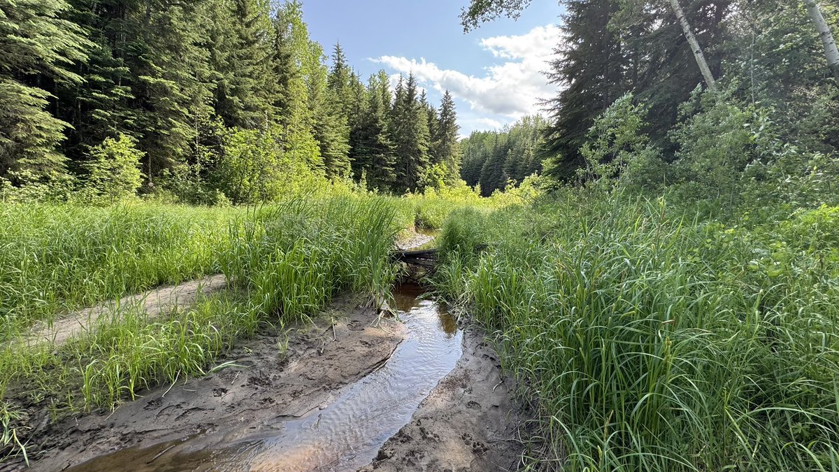 xenomnk's tweet image. 