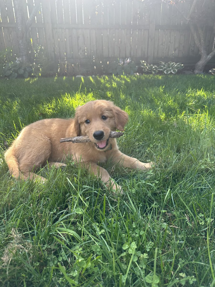 a n g e l a 🌙 tweet media