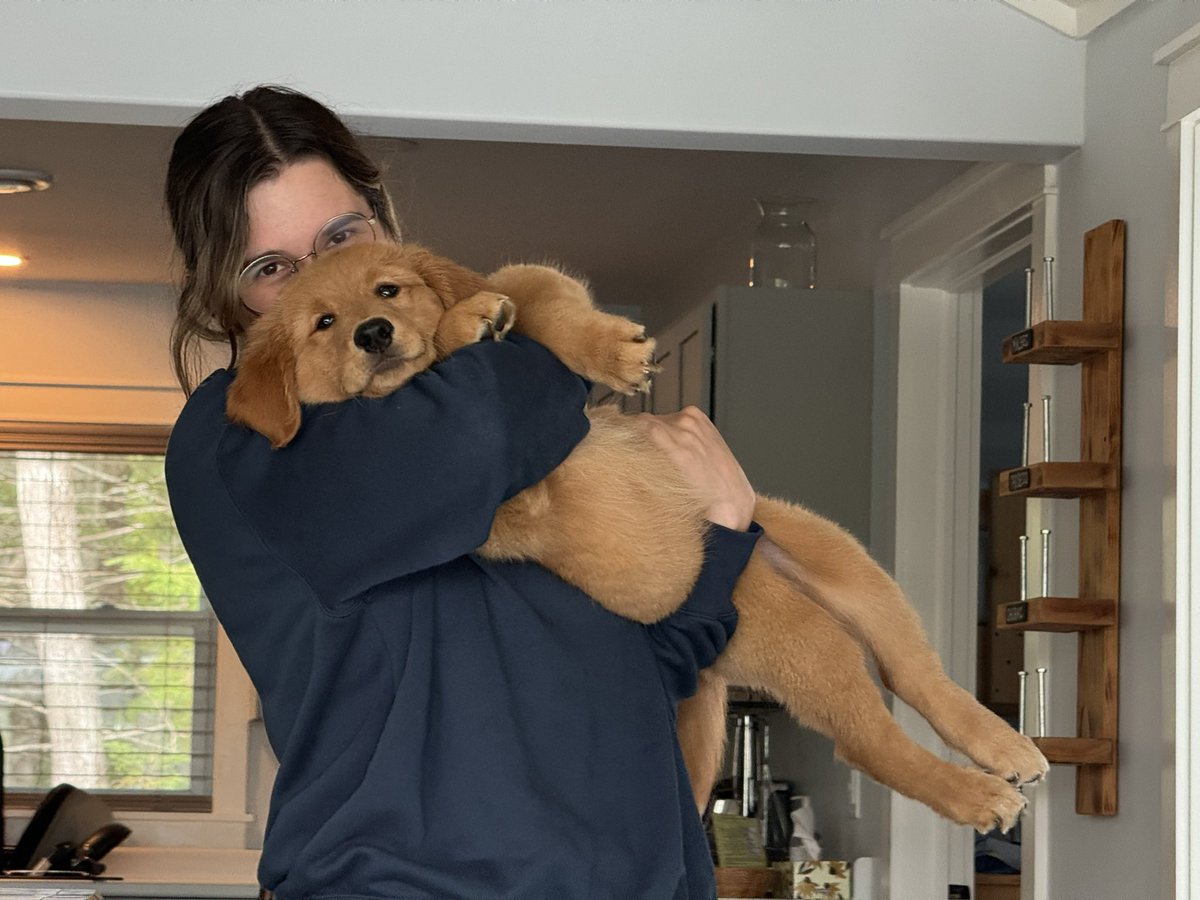 a n g e l a 🌙 tweet media