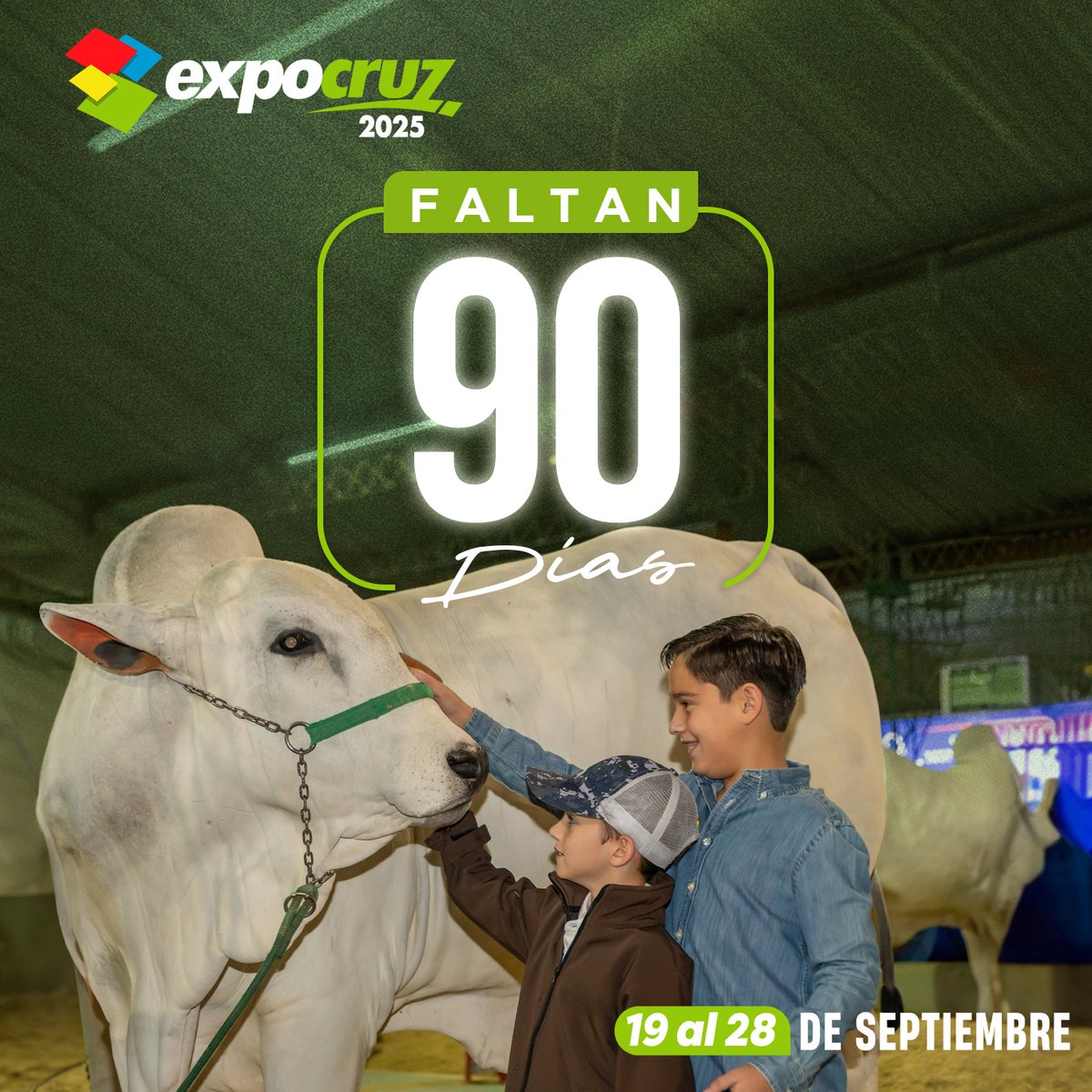 FEXPOCRUZ Oficial (@fexpocruzo) on Twitter photo Estamos a 90 días de Expocruz2025: "Una Feria para Todos".
La cita es del 19 al 28 de septiembre!
Consultas:
📲 wa.link/qmp0tl
📲 wa.link/cs7a1l
📩ventas@fexpocruz.com.bo
#FEXPOCRUZ #RumboAExpocruz2025 #UnaFeriaParaTodos #Expocruz2025 Estamos a 90 días de Expocruz2025: "Una Feria para Todos".
La cita es del 19 al 28 de septiembre!
Consultas:
📲 wa.link/qmp0tl
📲 wa.link/cs7a1l
📩ventas@fexpocruz.com.bo
#FEXPOCRUZ #RumboAExpocruz2025 #UnaFeriaParaTodos #Expocruz2025