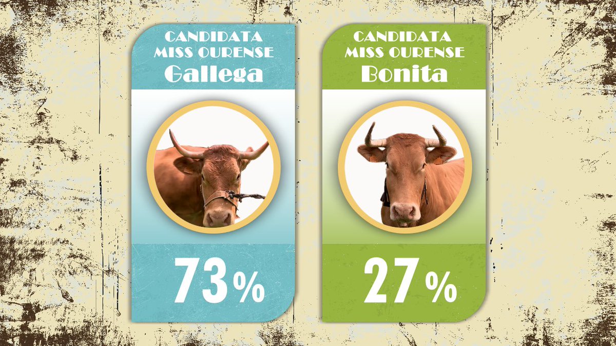 🐮 RESULTADO FINAL ‼️ Miss Vaca Ourense... 🥁🥁🥁🥁 GALLEGA será a candidata que virá ao vindeiro venres a #missvaca25 Parabéns ❣️