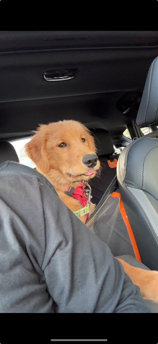 a n g e l a 🌙 tweet media