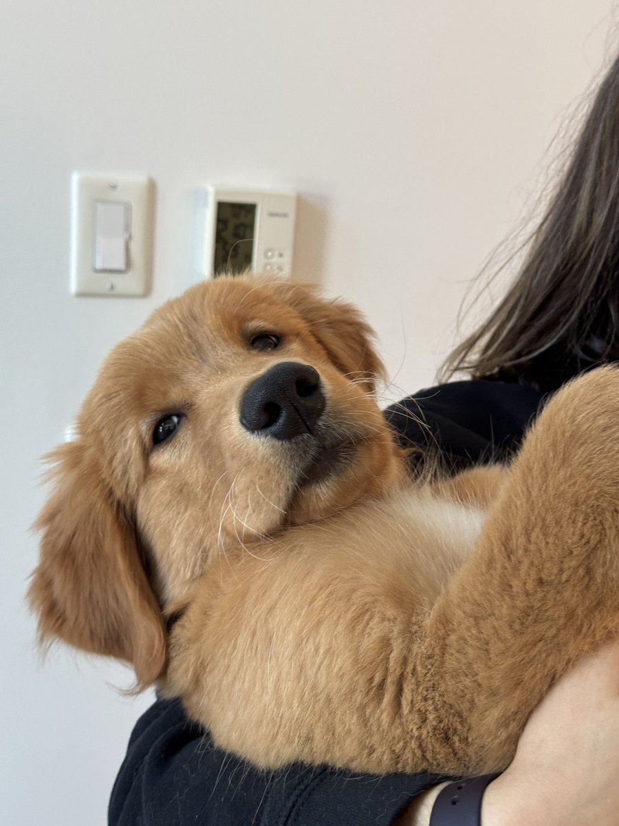 a n g e l a 🌙 tweet media