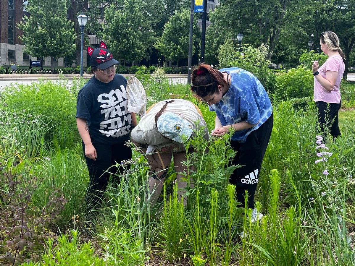 Chelsea Cook (@phdbee) on Twitter photo As a fun moment to break up the research day, we spent lunch in the beautiful gardens and #prairie on campus <a href="/MarquetteU/">Marquette University</a> to learn about the #pollinators and other #insects that use the space as food and refuge. Thanks to <a href="/ecokatsully/">Kat Sullivan</a> <a href="/MilwaukeeMuseum/">MPM Education</a> for co-organizing with us! As a fun moment to break up the research day, we spent lunch in the beautiful gardens and #prairie on campus <a href="/MarquetteU/">Marquette University</a> to learn about the #pollinators and other #insects that use the space as food and refuge. Thanks to <a href="/ecokatsully/">Kat Sullivan</a> <a href="/MilwaukeeMuseum/">MPM Education</a> for co-organizing with us!