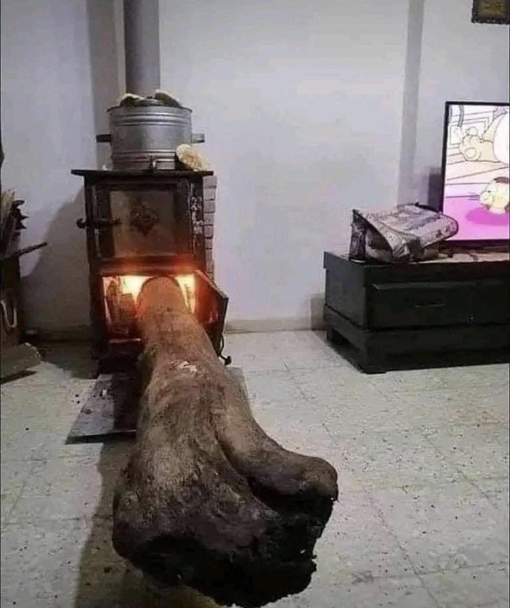 soymaxdamian's tweet photo. Cuando el pastor dice que "echemos leña al fuego". https://t.co/hgOhfO3G7d