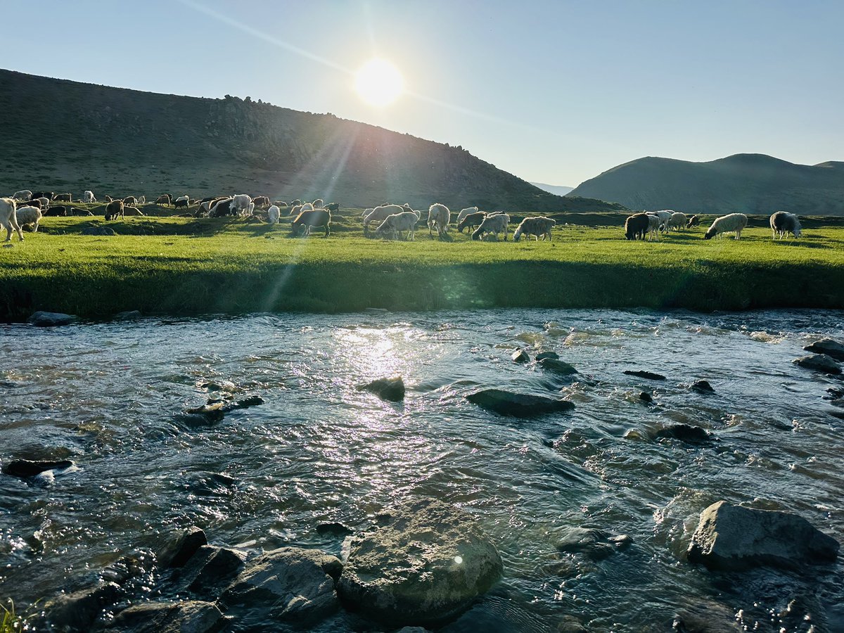 Өглөөний мэнд☀️Амралтын өдрөө ая тухтай сайхан өнгөрүүлээрэй🫰