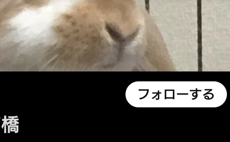 ただ叩ける人間を叩きたいクズ共にはもう文句言わせねえから黙っとけよクズ共