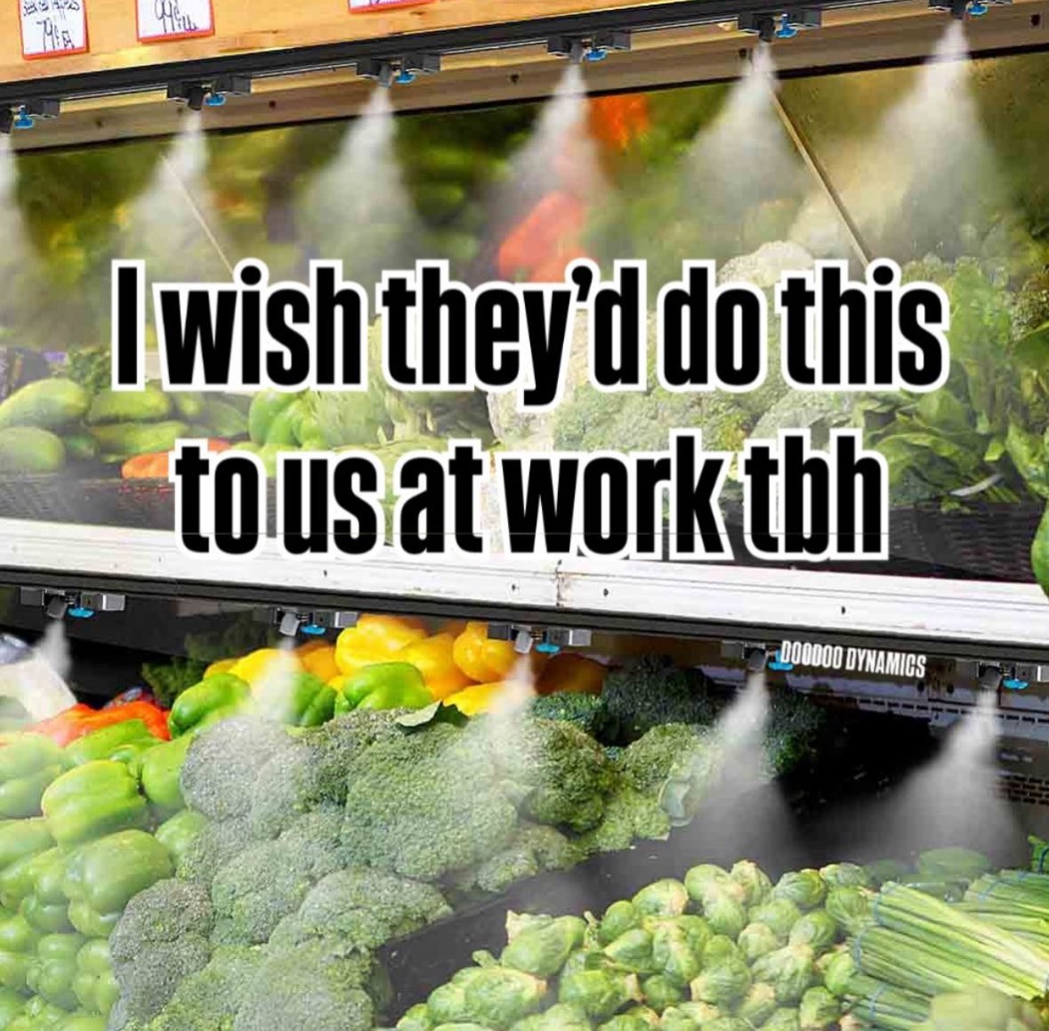 Respectful Memes (@respectfulmemes) on Twitter photo 