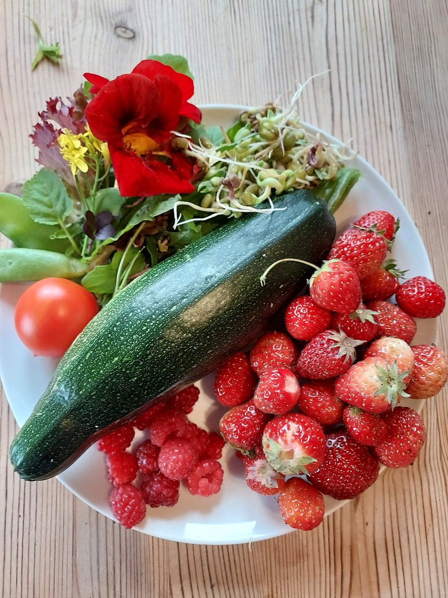 First tomato (25g) and courgette (216g) today, and more strawbs than ever 141g, salad, peas, raspberries, beansprouts, 443g all told and a very good dinner...