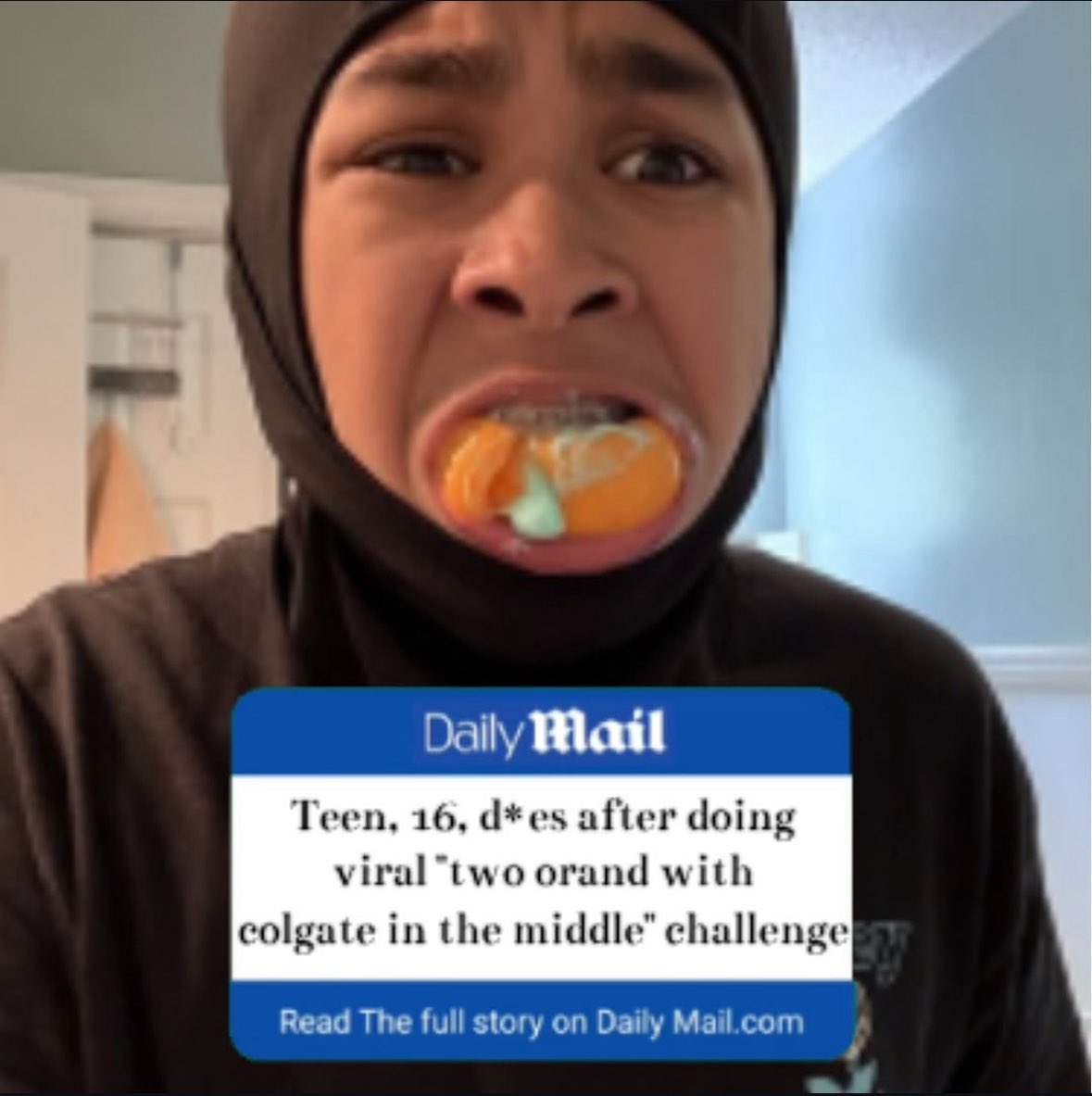 hydra tweet media